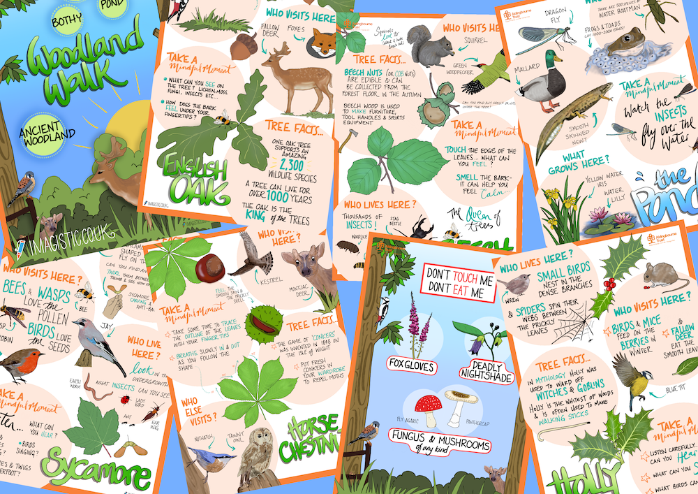 Graphic panels created for the Woodland Walk at Aldingbourne Trust 